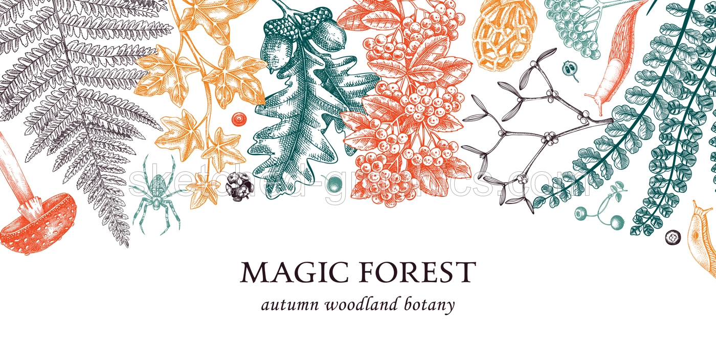 Autumn Botanical Border With Ferns And Mushrooms Illustration